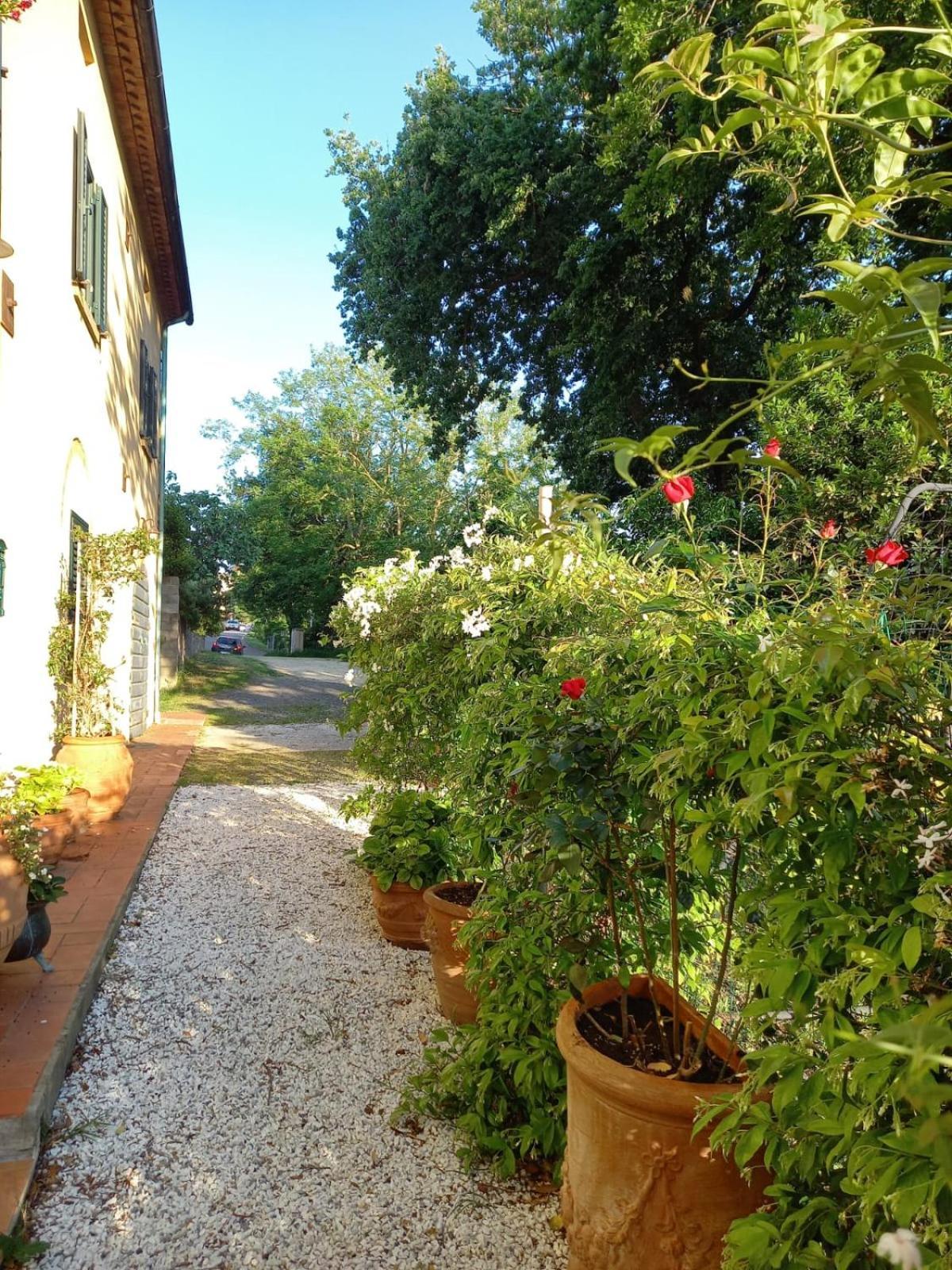 La Bellana Apartment Guardistallo Exterior foto