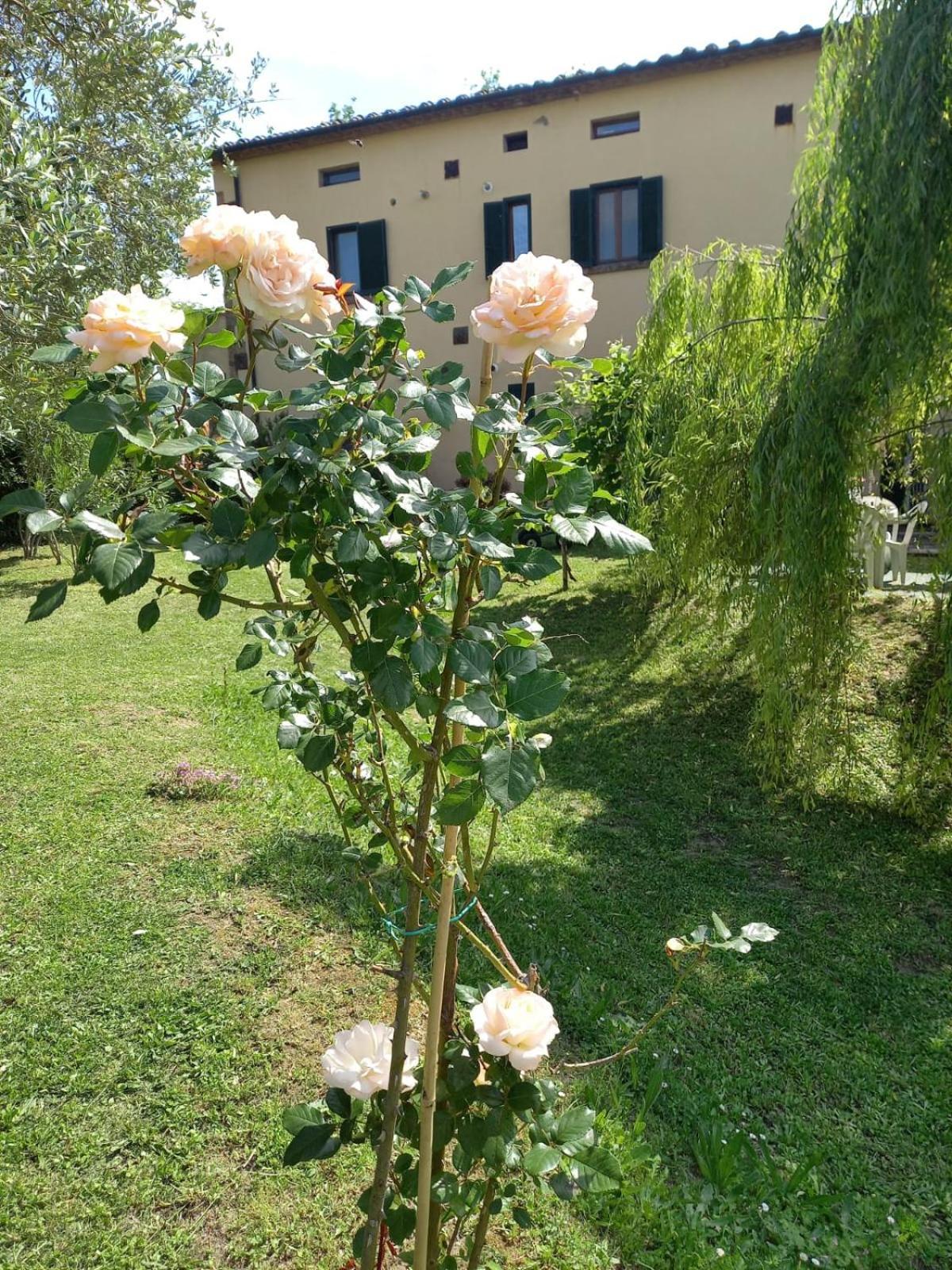 La Bellana Apartment Guardistallo Exterior foto