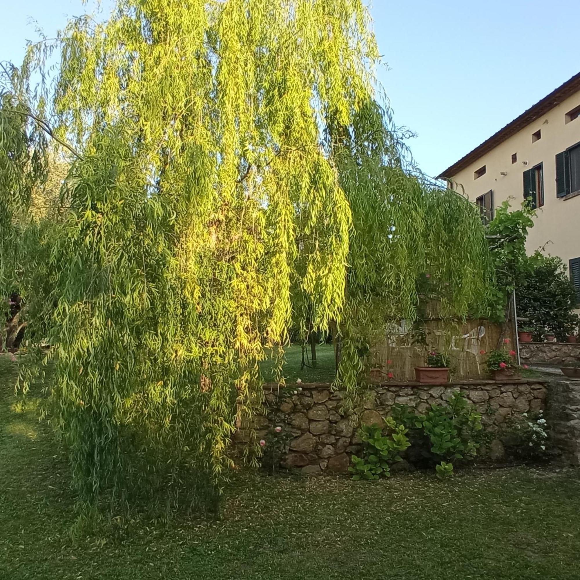 La Bellana Apartment Guardistallo Exterior foto