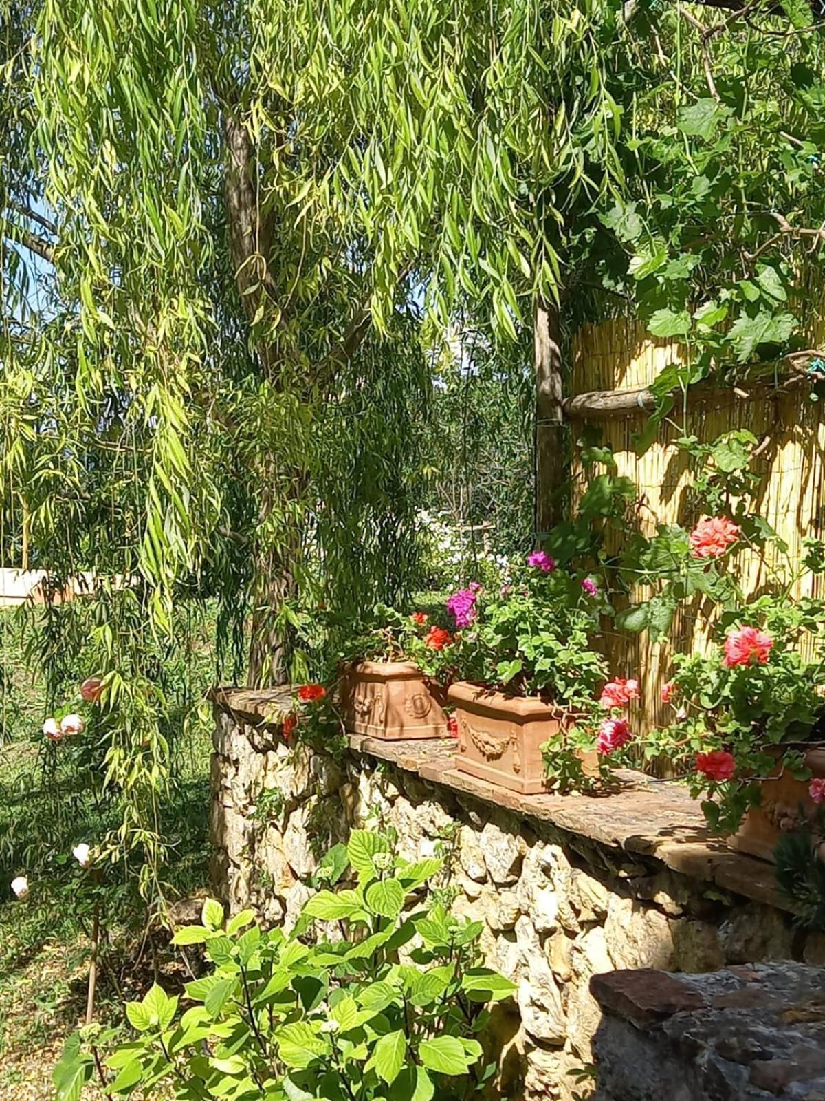 La Bellana Apartment Guardistallo Exterior foto